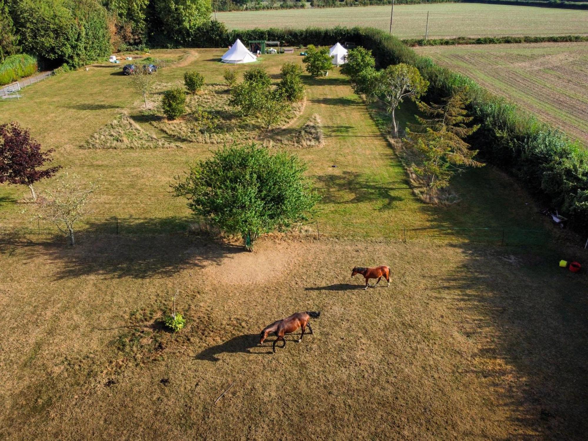 The Follies Glamping Otel Maidstone Dış mekan fotoğraf
